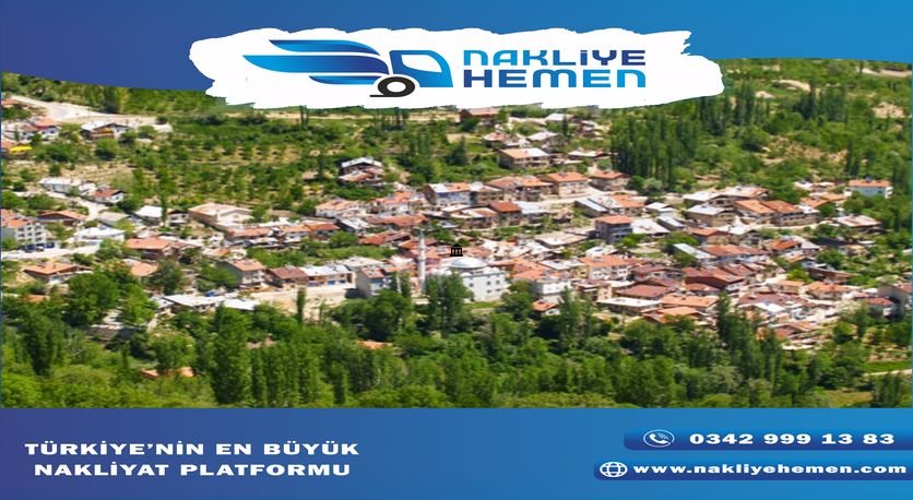 Başyayla Nakliyat